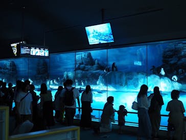 名古屋港水族館に投稿された画像（2024/7/28）