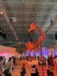 巨大恐竜展2024に投稿された画像（2024/7/29）