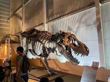 巨大恐竜展2024に投稿された画像（2024/7/28）