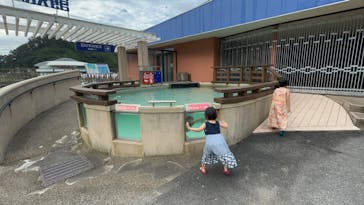 下田海中水族館に投稿された画像（2024/7/28）
