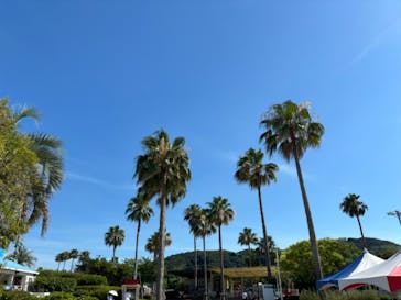 淡路ワールドパークONOKOROに投稿された画像（2024/7/28）