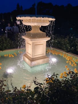 京成バラ園に投稿された画像（2024/7/28）