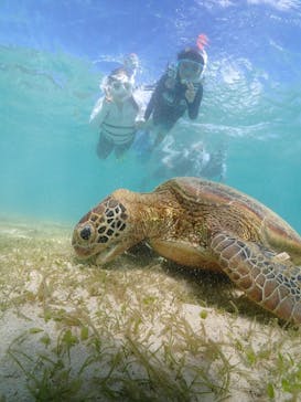 初心者専門宮古島シュノーケリングツアーに投稿された画像（2024/7/29）