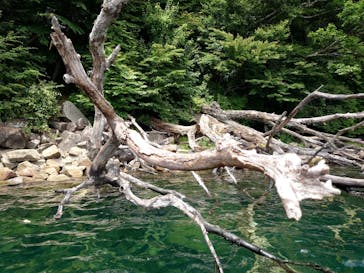 ボンファイアー（日光カヌー・カヤック体験）に投稿された画像（2024/7/29）