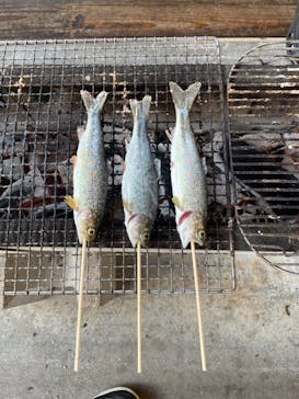神崎農村公園ヨーデルの森に投稿された画像（2024/7/29）