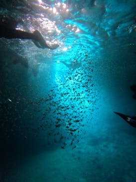 沖縄マリンサービス碧に投稿された画像（2024/7/29）