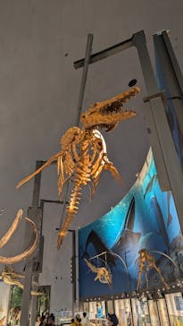 福井県立恐竜博物館に投稿された画像（2024/7/29）