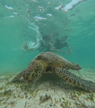 nico 宮古島に投稿された画像（2024/7/29）