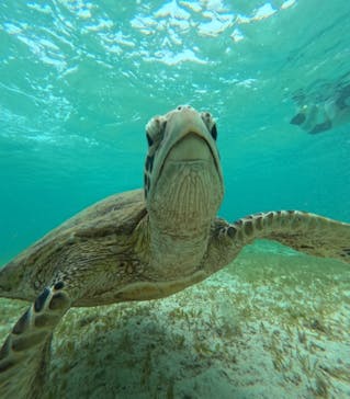 nico 宮古島に投稿された画像（2024/7/29）