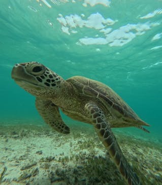 nico 宮古島に投稿された画像（2024/7/29）