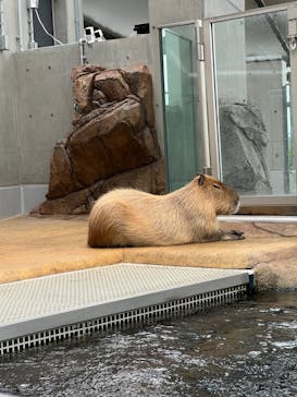 AQUARIUM × ART　atoaに投稿された画像（2024/7/29）