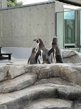 AQUARIUM × ART　atoaに投稿された画像（2024/7/29）