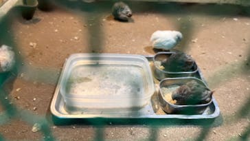 箱根園水族館に投稿された画像（2024/7/29）