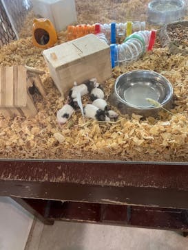 箱根園水族館に投稿された画像（2024/7/29）