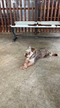 箱根園水族館に投稿された画像（2024/7/29）