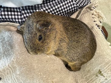 箱根園水族館に投稿された画像（2024/7/29）