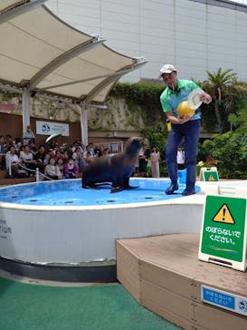 サンシャイン水族館に投稿された画像（2024/7/29）