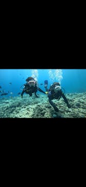 武藤潜水に投稿された画像（2024/7/29）