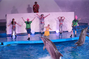 仙台うみの杜水族館に投稿された画像（2024/7/29）