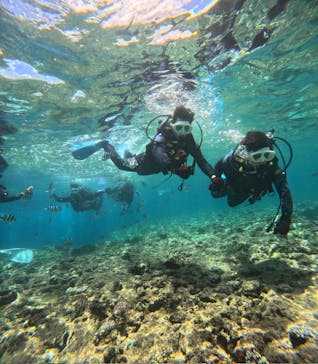 沖縄マリンサービス碧に投稿された画像（2024/7/29）