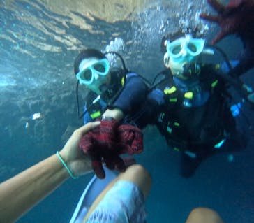 沖縄マリンサービス碧に投稿された画像（2024/7/29）