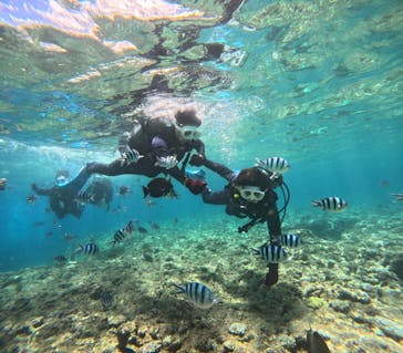 沖縄マリンサービス碧に投稿された画像（2024/7/29）