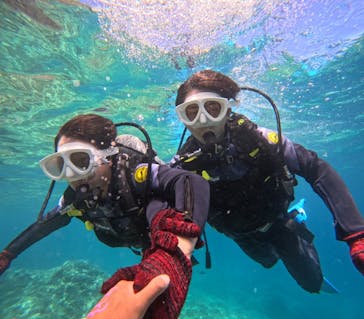 沖縄マリンサービス碧に投稿された画像（2024/7/29）