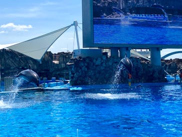 名古屋港水族館に投稿された画像（2024/7/29）