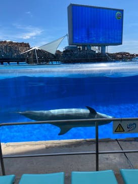 名古屋港水族館に投稿された画像（2024/7/29）