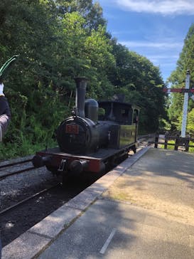 博物館 明治村に投稿された画像（2024/7/29）