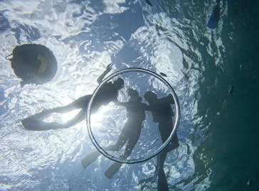 武藤潜水に投稿された画像（2024/7/29）