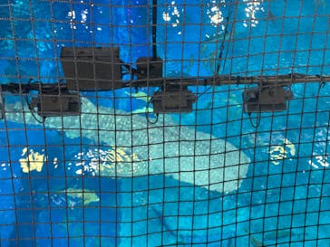 沖縄美ら海水族館に投稿された画像（2024/7/29）