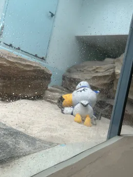 仙台うみの杜水族館に投稿された画像（2024/7/29）