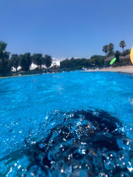 海の中道サンシャインプールに投稿された画像（2024/7/29）