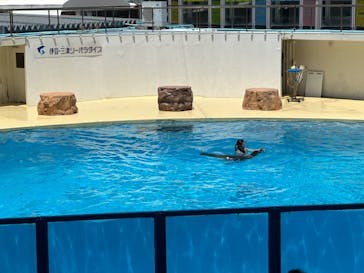 伊豆・三津シーパラダイスに投稿された画像（2024/7/29）