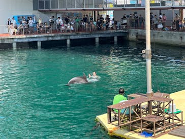 伊豆・三津シーパラダイスに投稿された画像（2024/7/29）