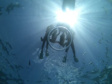 武藤潜水に投稿された画像（2024/7/29）