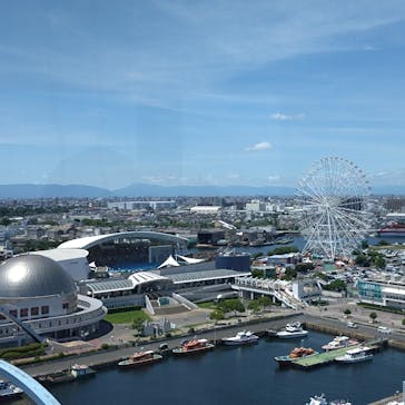 名古屋港水族館に投稿された画像（2024/7/29）
