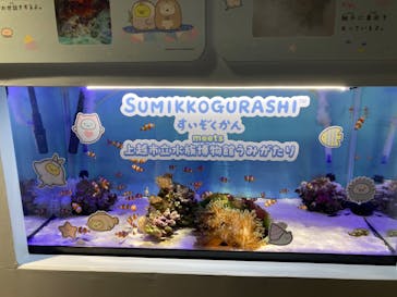 上越市立水族博物館 うみがたりに投稿された画像（2024/7/29）