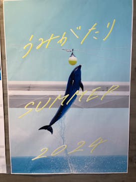 上越市立水族博物館 うみがたりに投稿された画像（2024/7/29）