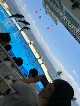 マリンワールド海の中道に投稿された画像（2024/7/29）