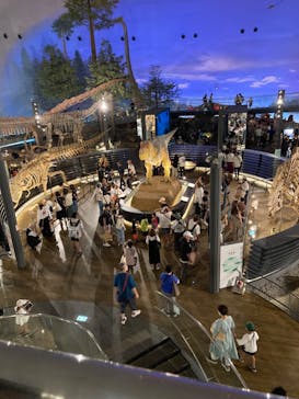福井県立恐竜博物館に投稿された画像（2024/7/29）