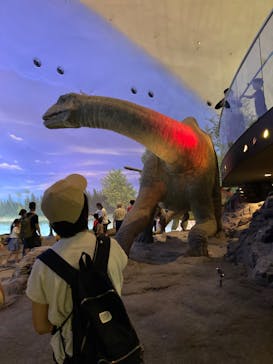 福井県立恐竜博物館に投稿された画像（2024/7/29）