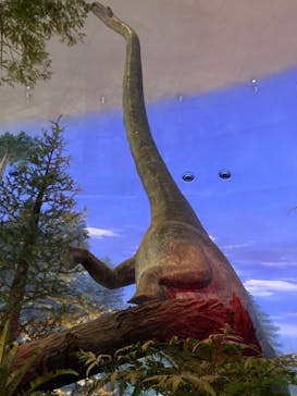 福井県立恐竜博物館に投稿された画像（2024/7/29）