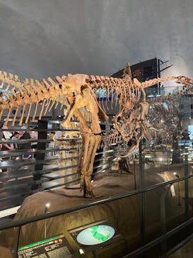 福井県立恐竜博物館に投稿された画像（2024/7/29）