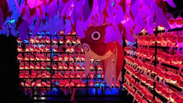 NARA KINGYO MUSEUMに投稿された画像（2024/7/29）