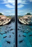 上越市立水族博物館 うみがたりに投稿された画像（2024/7/29）