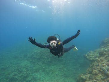 武藤潜水に投稿された画像（2024/7/29）