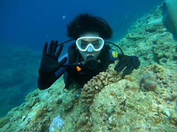 武藤潜水に投稿された画像（2024/7/29）