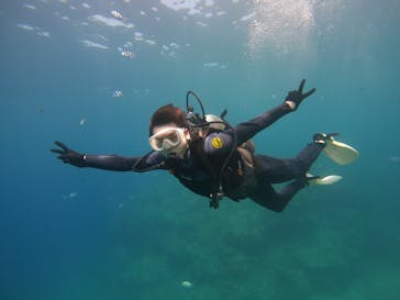 武藤潜水に投稿された画像（2024/7/29）